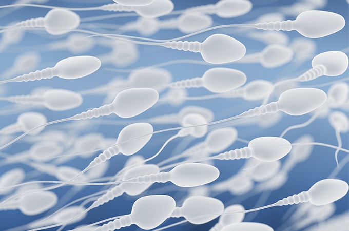 Maryland Insurance Mandate Expands to Cover Donor Sperm