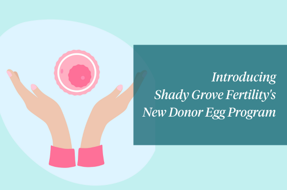 Shady Grove Fertility launches new, simplified Donor Egg program 